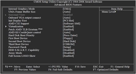 hardware virtualization